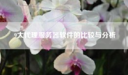 9大代理服务器软件的比较与分析