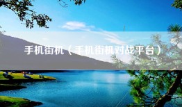 手机街机（手机街机对战平台）