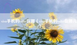 vivo手机的volte在哪（vivo手机的volte在哪儿）