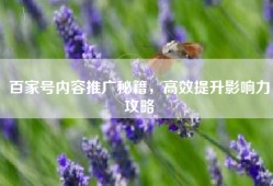 百家号内容推广秘籍，高效提升影响力攻略