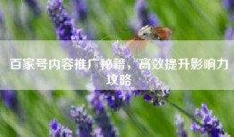 百家号内容推广秘籍，高效提升影响力攻略
