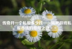 传奇开一个私服多少钱——揭秘游戏私服市场的费用之谜＊＊