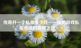传奇开一个私服多少钱——揭秘游戏私服市场的费用之谜＊＊