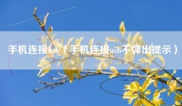 手机连接usb（手机连接usb不弹出提示）