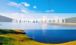 问手机在哪（问手机在哪里）