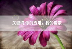 关键词,你的应用，我的搜索