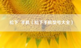 松下  手机（松下手机型号大全）