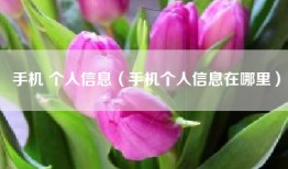 手机 个人信息（手机个人信息在哪里）