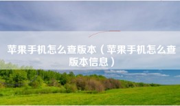 苹果手机怎么查版本（苹果手机怎么查版本信息）