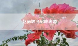 赵丽颖冯绍峰离婚