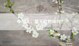 中国人，能不吃野味吗？