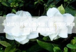 一站式业务增长加速器，高效优化与推广方案模板揭秘