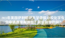 2023年美国伊利诺伊大学香槟分校化学专业申请要求有哪些？就业前景如何？