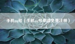 手机qq号（手机qq号申请免费注册）