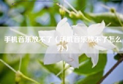 手机音乐放不了（手机音乐放不了怎么办）