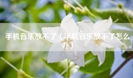 手机音乐放不了（手机音乐放不了怎么办）