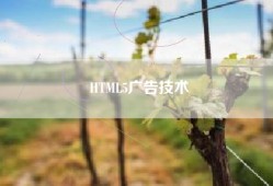 HTML5广告技术