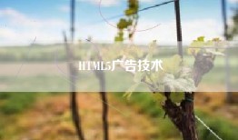 HTML5广告技术