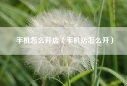 手机怎么开店（手机店怎么开）