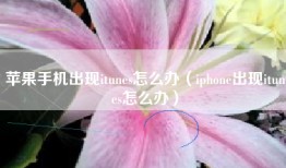 苹果手机出现itunes怎么办（iphone出现itunes怎么办）