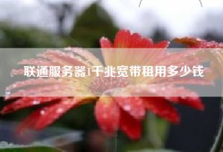 联通服务器1千兆宽带租用多少钱