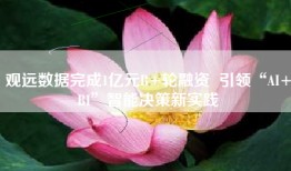 观远数据完成1亿元B+轮融资  引领“AI+BI”智能决策新实践