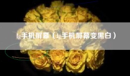 lg手机屏幕（lg手机屏幕变黑白）
