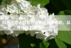 抖音小店入驻官方旗舰店和企业店，品牌授权书哪里不一样？