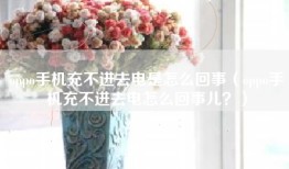 oppo手机充不进去电是怎么回事（oppo手机充不进去电怎么回事儿？）