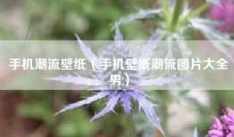 手机潮流壁纸（手机壁纸潮流图片大全男）