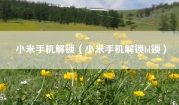 小米手机解锁（小米手机解锁bl锁）