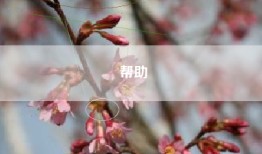 帮助