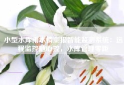 小型水库雨水情测报智能监测系统：远程监控随心控，水库管理零距