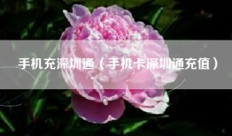 手机充深圳通（手机卡深圳通充值）