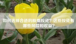 如何选择合适的股票投资？这些投资有哪些风险和收益？