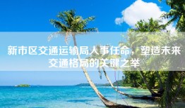 新市区交通运输局人事任命，塑造未来交通格局的关键之举