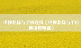 电视怎样与手机连接（电视怎样与手机连接看电视）