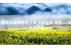 搜索关键词排名工具下载安装(黑帽seo)版本全攻略