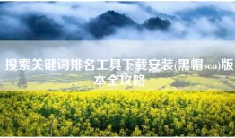 搜索关键词排名工具下载安装(黑帽seo)版本全攻略