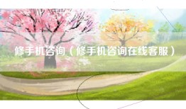 修手机咨询（修手机咨询在线客服）