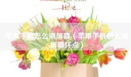 苹果手机怎么测屏幕（苹果手机怎么测屏幕坏点）