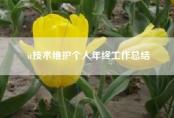 it技术维护个人年终工作总结