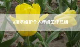 it技术维护个人年终工作总结