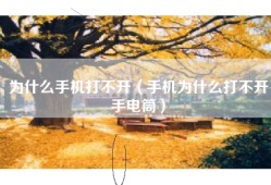 为什么手机打不开（手机为什么打不开手电筒）