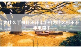 为什么手机打不开（手机为什么打不开手电筒）