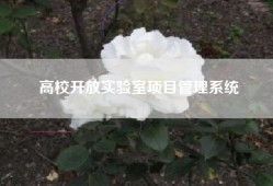 高校开放实验室项目管理系统
