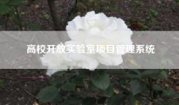 高校开放实验室项目管理系统