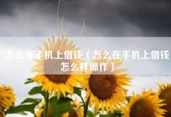 怎么在手机上借钱（怎么在手机上借钱怎么样操作）