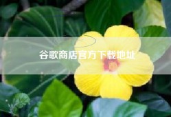 谷歌商店官方下载地址