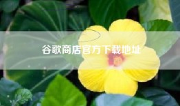 谷歌商店官方下载地址
